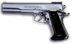gun_2.GIF (18k)