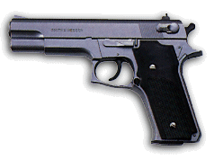 gun_7.GIF (19k)